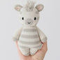 BABY ZEBRA